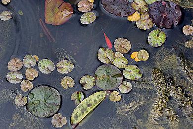 微软曾计划收购华纳兄弟游戏